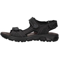 Παπούτσια Άνδρας Σανδάλια / Πέδιλα IgI&CO 5147800 Black