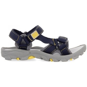 Παπούτσια Παιδί Σπορ σανδάλια Gioseppo SANDALIAS NIO  DUVAL 59029 Grey