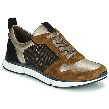Παπούτσια Γυναίκα Χαμηλά Sneakers Adige VANILLE2 V3 GALAXY ONYX Brown