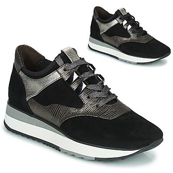 Παπούτσια Γυναίκα Χαμηλά Sneakers Adige XERUS V1 SOLAR CARBONE Grey
