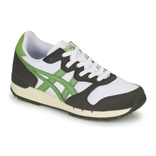 Παπούτσια Χαμηλά Sneakers Onitsuka Tiger ALVARADO Green / Black / Άσπρο