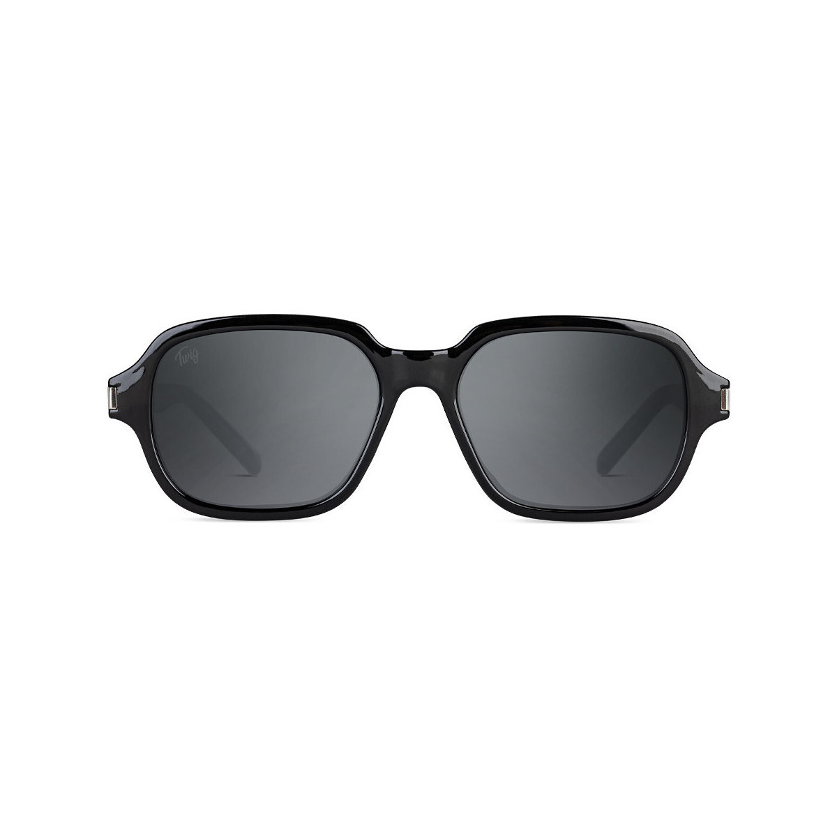 Ρολόγια & Kοσμήματα óculos de sol Twig ACOSTA Black