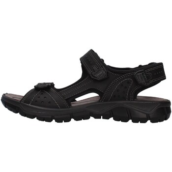 Παπούτσια Άνδρας Σανδάλια / Πέδιλα IgI&CO 7130000 Black