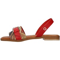 Παπούτσια Γυναίκα Σανδάλια / Πέδιλα Gattinoni PEGAF6171WH Red