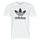 Υφασμάτινα Άνδρας T-shirt με κοντά μανίκια adidas Originals TREFOIL T-SHIRT Άσπρο