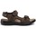 Παπούτσια Άνδρας Σανδάλια / Πέδιλα Marco Tozzi 18400 Brown