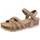 Παπούτσια Σανδάλια / Πέδιλα Coquette 25253-24 Brown
