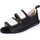 Παπούτσια Γυναίκα Σανδάλια / Πέδιλα Moma BH313 Black