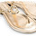 Παπούτσια Γυναίκα Σανδάλια / Πέδιλα EAX XDQ006 XV140 Gold