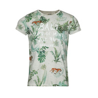 Υφασμάτινα Άνδρας T-shirt με κοντά μανίκια Deeluxe BALI TS M Grey /  clair / Multicolour
