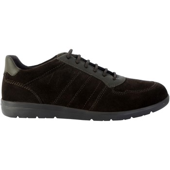 Παπούτσια Άνδρας Χαμηλά Sneakers Geox 155795 Brown