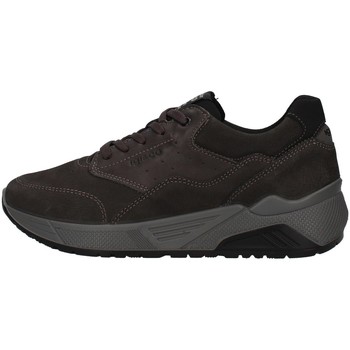 Παπούτσια Άνδρας Χαμηλά Sneakers IgI&CO 8134600 Grey