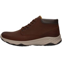 Παπούτσια Άνδρας Χαμηλά Sneakers IgI&CO 8119511 Brown