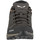 Παπούτσια Γυναίκα Πεζοπορίας Salewa Mtn Trainer Lite GTX 61362-7517 Multicolour