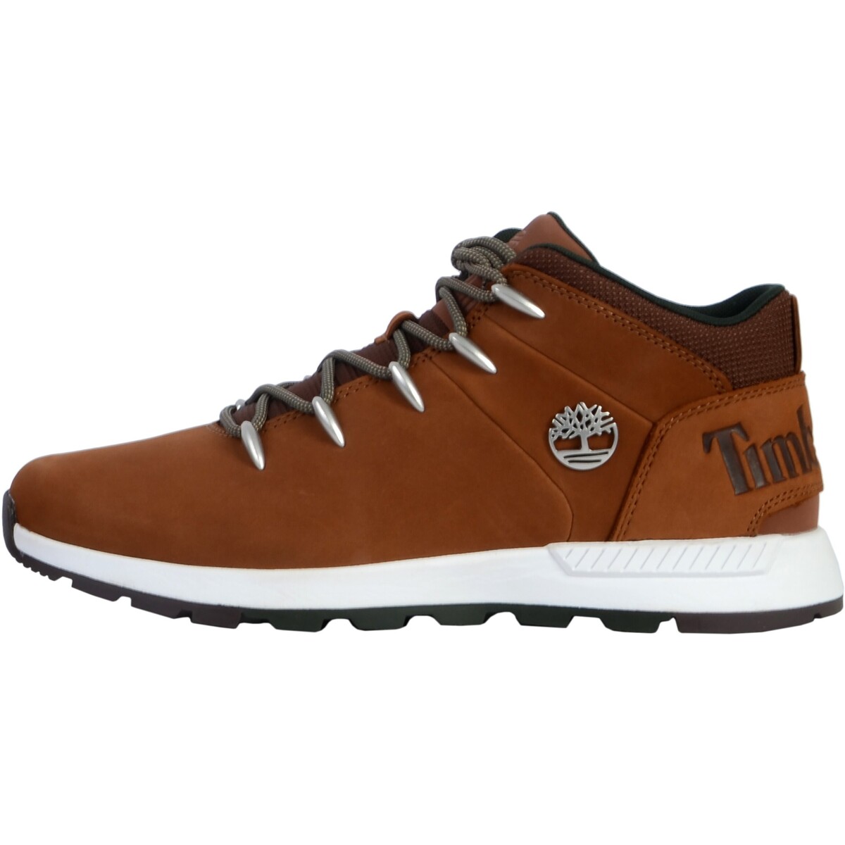 Sneakers Timberland 173917