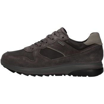 Παπούτσια Άνδρας Χαμηλά Sneakers IgI&CO 8132611 Grey