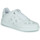 Παπούτσια Γυναίκα Χαμηλά Sneakers Guess BALLINN3 Άσπρο / Grey