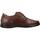Παπούτσια Άνδρας Derby & Richelieu Pitillos 4521P Brown