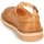 Παπούτσια Παιδί Σανδάλια / Πέδιλα Aster DINGO Camel