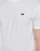 Υφασμάτινα Άνδρας T-shirt με κοντά μανίκια Vans OFF THE WALL CLASSIC SS Άσπρο
