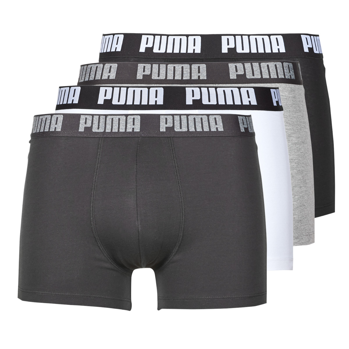 Boxer Puma PUMA BASIC X4