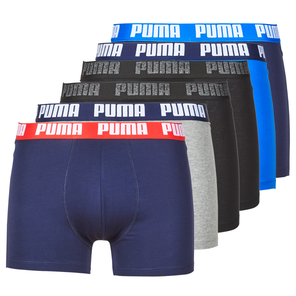Boxer Puma PUMA BASIC X6