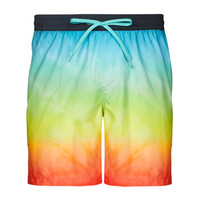 Υφασμάτινα Άνδρας Μαγιώ / shorts για την παραλία Quiksilver EVERYDAY FADED LOGO VOLLEY 17 Multicolour