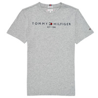Υφασμάτινα Παιδί T-shirt με κοντά μανίκια Tommy Hilfiger AIXADA Grey