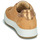 Παπούτσια Γυναίκα Χαμηλά Sneakers IgI&CO 1659033 Camel