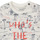 Υφασμάτινα Αγόρι T-shirt με κοντά μανίκια Ikks ECHANTILOI Multicolour