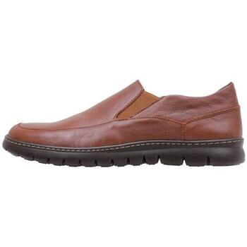 Παπούτσια Άνδρας Derby & Richelieu Cossimo 2201 Brown
