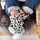Παπούτσια Παιδί Μπότες Boxbo Leon Baby Boots - Flocon Multicolour