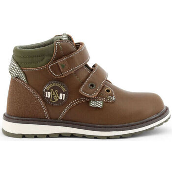 Παπούτσια Άνδρας Μπότες Shone - 6565-015 Brown