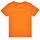 Υφασμάτινα Αγόρι T-shirt με κοντά μανίκια Name it NMMMICKEY MICAH Orange