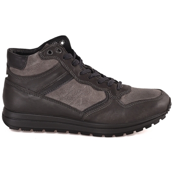 Παπούτσια Άνδρας Sneakers IgI&CO 2136511 Brown
