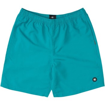 Υφασμάτινα Αγόρι Μαγιώ / shorts για την παραλία DC Shoes BAADOR VERDE NIO DC EDBWS03069 Green