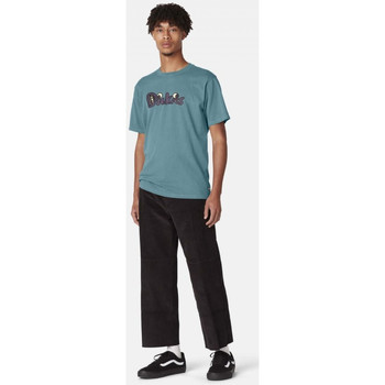 Dickies M franky ss graphic tee Green
