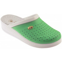Παπούτσια Γυναίκα Sneakers Sanital ART 1250 Green