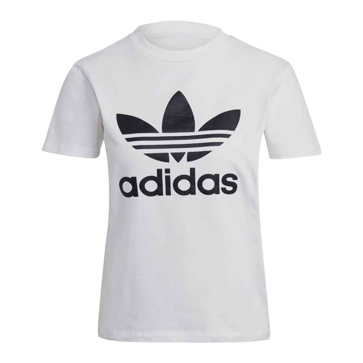 Υφασμάτινα Γυναίκα T-shirt με κοντά μανίκια adidas Originals adidas Adicolor Classics Trefoil Tee Άσπρο