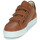 Παπούτσια Άνδρας Χαμηλά Sneakers Pellet SID Veau / Brown