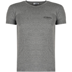 Υφασμάτινα Άνδρας T-shirt με κοντά μανίκια Iceberg ICE1UTS02 Grey