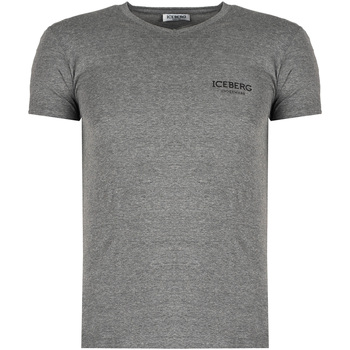 Υφασμάτινα Άνδρας T-shirt με κοντά μανίκια Iceberg ICE1UTS02 Grey