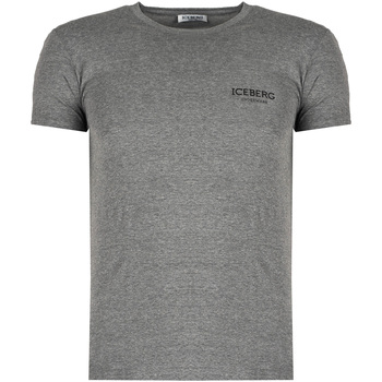 Υφασμάτινα Άνδρας T-shirt με κοντά μανίκια Iceberg ICE1UTS01 Grey