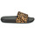 Παπούτσια Γυναίκα σαγιονάρες FitFlop IQUSHION Leopard / Black