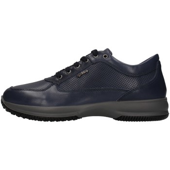 Παπούτσια Άνδρας Χαμηλά Sneakers IgI&CO 1614011 Μπλέ