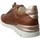 Παπούτσια Γυναίκα Χαμηλά Sneakers Pikolinos W4r-6584 Brown