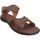 Παπούτσια Άνδρας Σανδάλια / Πέδιλα Pikolinos M8t-0095 Brown