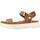Παπούτσια Γυναίκα Σανδάλια / Πέδιλα Geox D XAND 2.1S B Brown