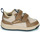 Παπούτσια Παιδί Χαμηλά Sneakers Reebok Sport WEEBOK CLASP LOW Brown