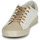 Παπούτσια Γυναίκα Χαμηλά Sneakers Le Temps des Cerises SOHO Άσπρο / Beige / Gold